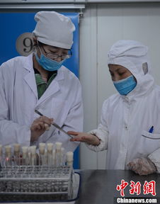 探訪航空食品廠