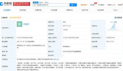 阿里成立一錘定音科技公司，劍指抖音“數字化底座”？繼“京西”后布局再引關注